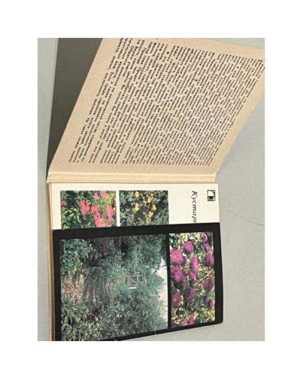 Дополнительное изображение книги «Ваш приусадебный участок. Декоративные растения (Комплект из 18 цветных открыток)»