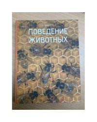 Поведение животных 