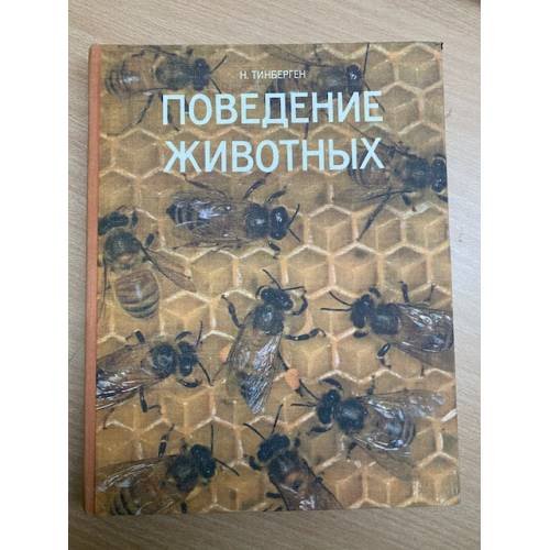 Поведение животных 