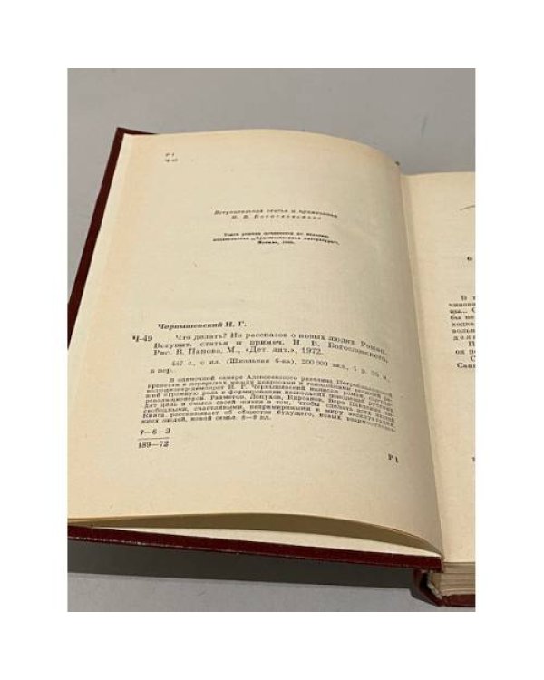 Дополнительное изображение книги «Что делать?»