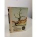 Обложка книги «Источник забвения» — Бааль Вольдемар Иванович