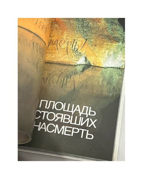 Дополнительное изображение книги «Мамаев Курган»