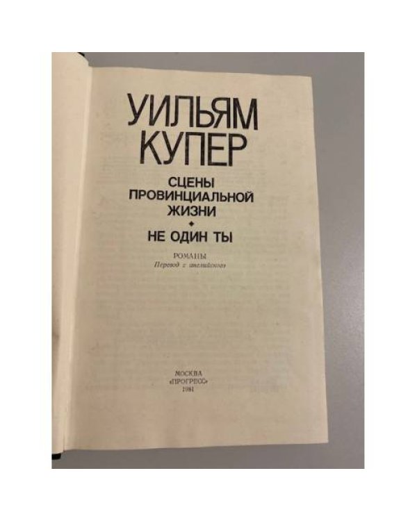Сцены провинциальной жизни. Не один ты