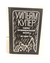 Сцены провинциальной жизни. Не один ты