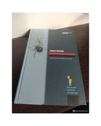 Шпионский роман