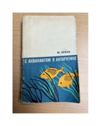 С аквалангом в Антарктике