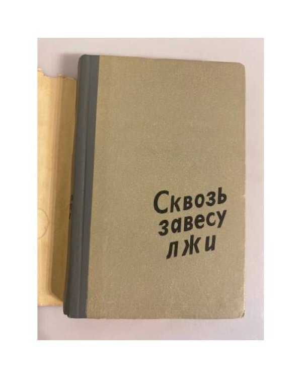 Дополнительное изображение книги «Сквозь завесу лжи»