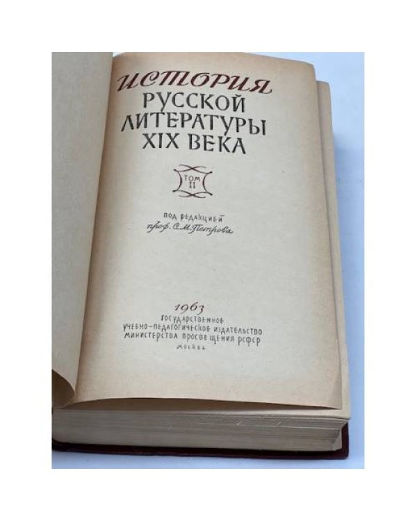 История русской литературы XIX века (комплект из 2 книг)