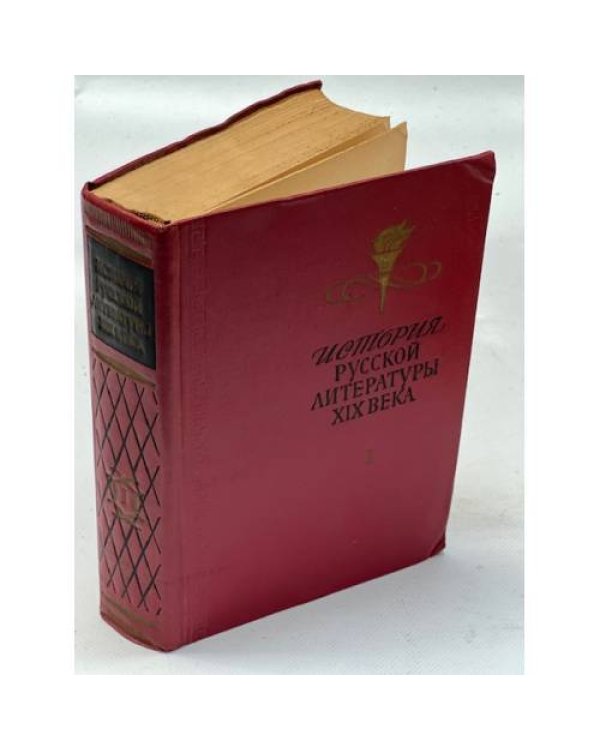 История русской литературы XIX века (комплект из 2 книг)