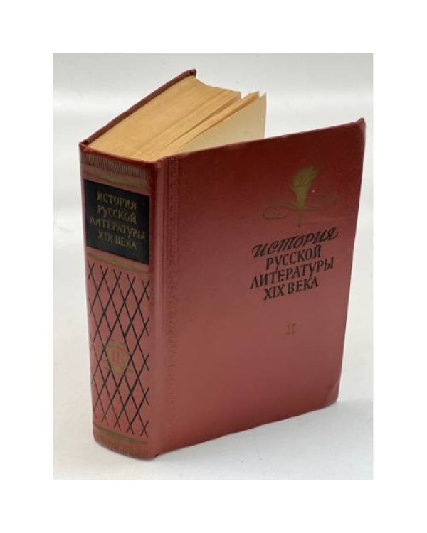 История русской литературы XIX века (комплект из 2 книг)