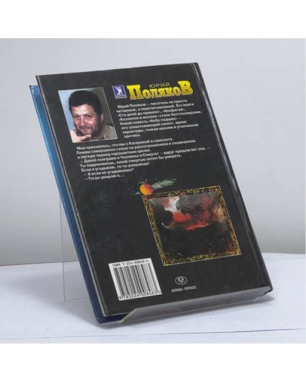 Дополнительное изображение книги «Небо падших»