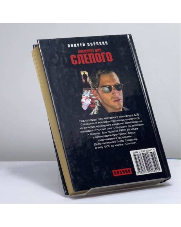 Дополнительное изображение книги «Лабиринт для Слепого»