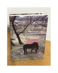 История Приисетья