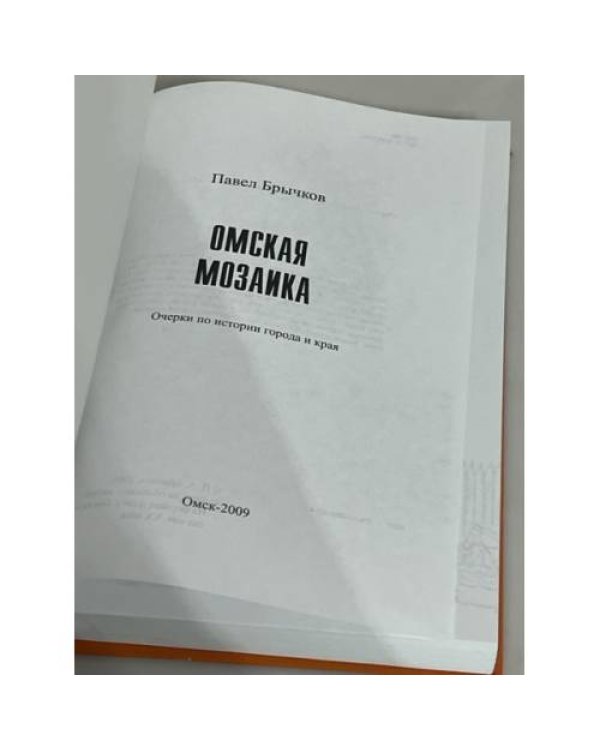 Омская мозаика. Очерки по истории города и края. 295-летию г. Омска