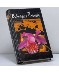 Любовники в заснеженном саду. В 2 книгах. Книга 1