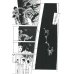 Дополнительное изображение книги «Томиэ. Т. 1 манга»