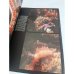 Дополнительное изображение книги «Живой океан»