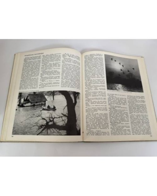 Дополнительное изображение книги «Отечество»