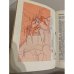Дополнительное изображение книги «Дело всей жизни»