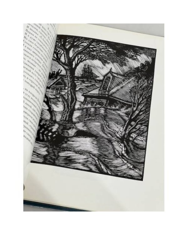 Дополнительное изображение книги «Медный всадник»