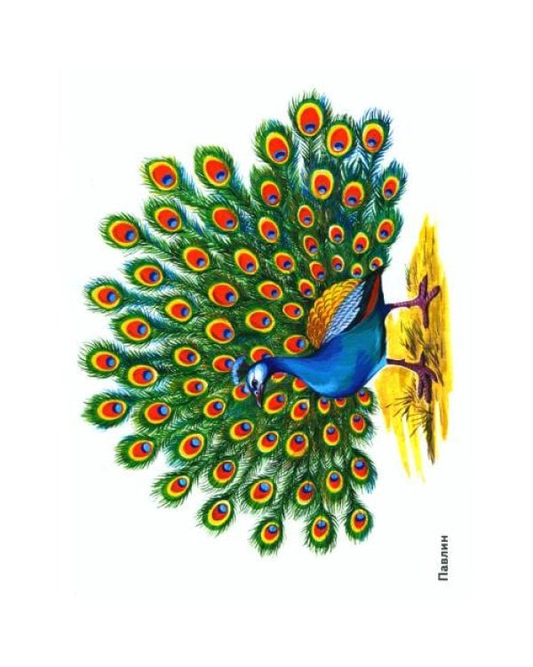 Дополнительное изображение книги «Птицы в картинках. Вып. 3. Наглядное пособие для педагогов, логопедов, воспитателей, родителей»