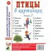 Обложка книги «Птицы в картинках. Вып. 3. Наглядное пособие для педагогов, логопедов, воспитателей, родителей» — None, ISBN 9785001606390