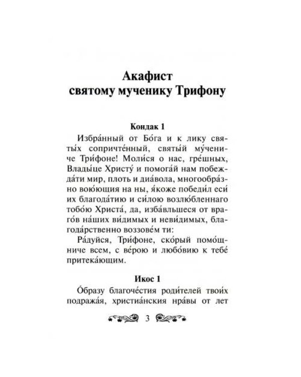 Дополнительное изображение книги «Акафист святому мученику Трифону»