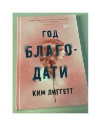 Год благодати