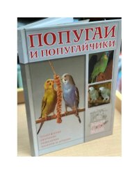 Попугаи и попугайчики