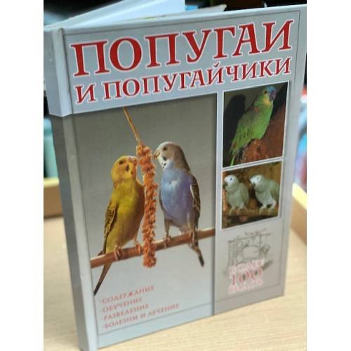 Попугаи и попугайчики