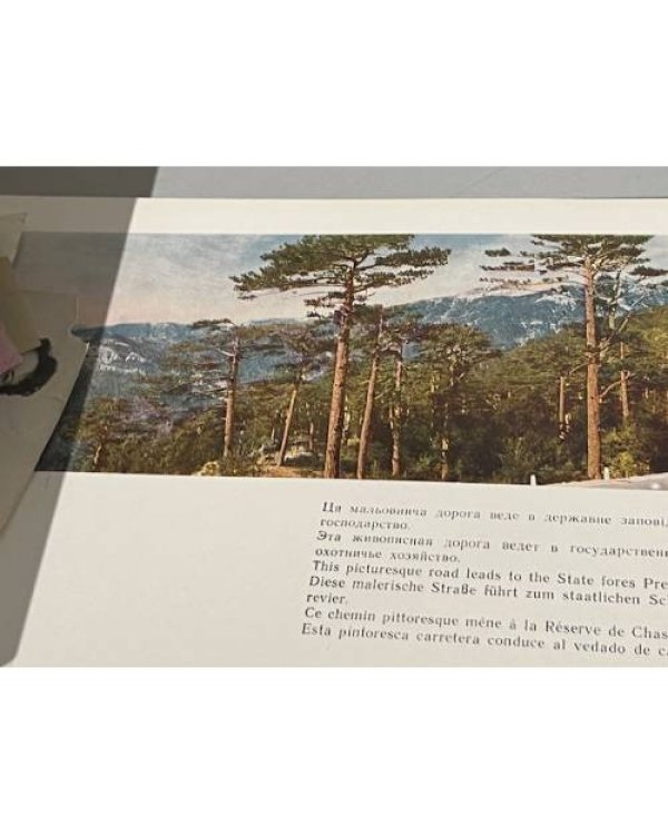 Дополнительное изображение книги «Южный Берег Крыма. Фотопанорамы»