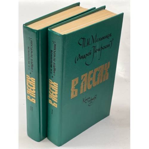 В лесах. В двух книгах