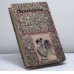 Дополнительное изображение книги «Гала»
