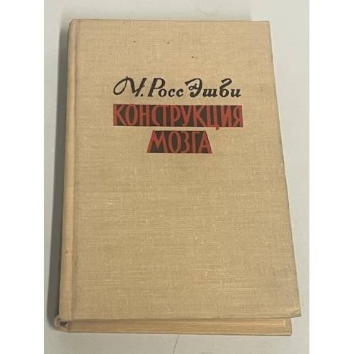 Конструкция мозга