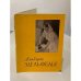 Обложка книги «Альберт Эдельфельт» — В.Н. Березина