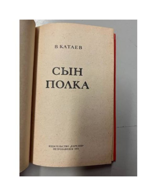 Дополнительное изображение книги «Сын полка»
