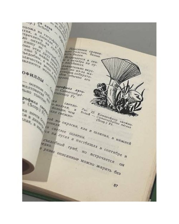 Дополнительное изображение книги «Собирателям грибов»