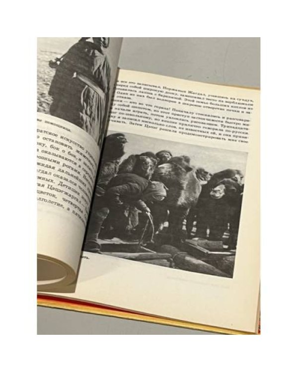 Дополнительное изображение книги «Монгольские дали. Очерки»