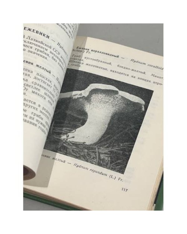 Дополнительное изображение книги «Собирателям грибов»