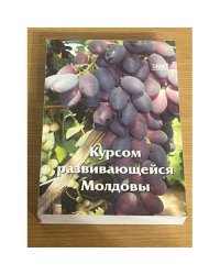Курсом развивающейся Молдовы