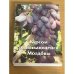 Курсом развивающейся Молдовы