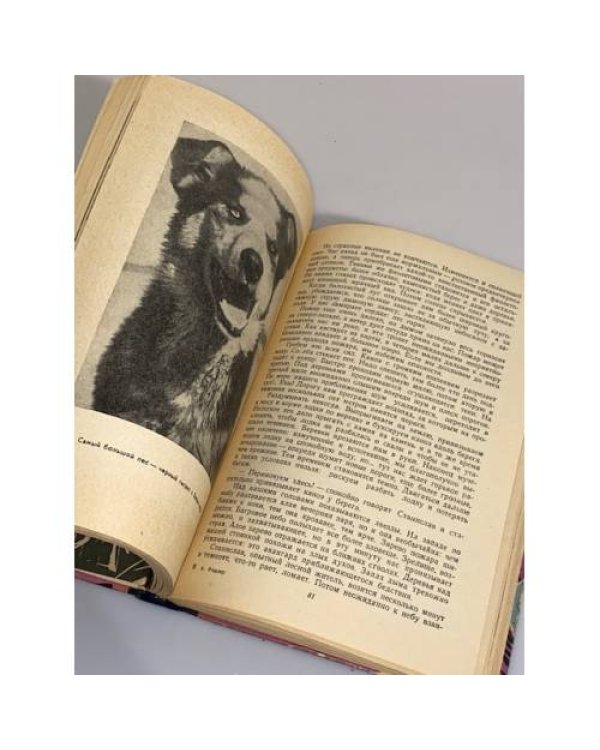 Дополнительное изображение книги « Канада, пахнущая смолой»