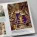 Дополнительное изображение книги «Прага. Шедевры пражской архитектуры»