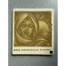Обложка книги «Живые легенды» — Алиева Ф. Г.