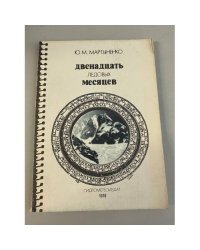 Двенадцать ледовых месяцев