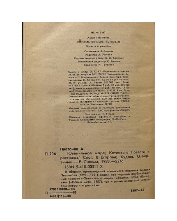 Ювенильное море. Котлован