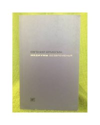 Медиумы безвременя: Литература в эпоху постмодерна, или трансавангард