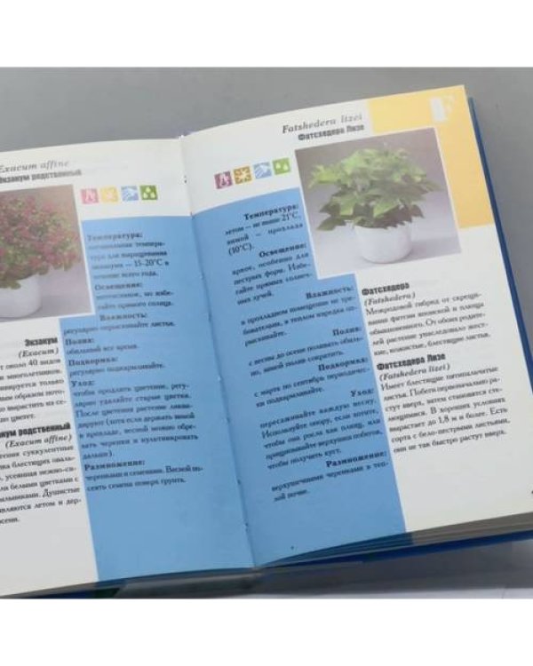 Дополнительное изображение книги «Комнатные растения от А до Z»