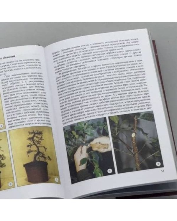 Дополнительное изображение книги «Бонсай»