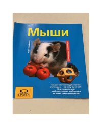 Мыши